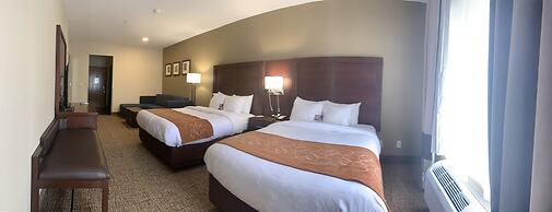 Comfort Suites Auburn near I-69