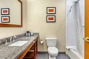 Comfort Suites Southgate-Detroit