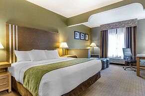 Comfort Suites Southgate-Detroit