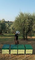 Relais Villa Olmo