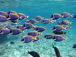 Four Seasons Maldives At Kuda Huraa