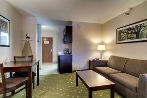 Holiday Inn Express Hotel & Suites LIVE OAK by IHG