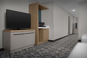 Hilton Garden Inn Auburn/Opelika