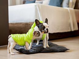 Mercure Sao Paulo Moema Times Square