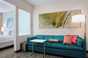 SpringHill Suites by Marriott Chicago Schaumburg/Woodfield
