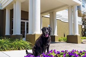 Homewood Suites Erie