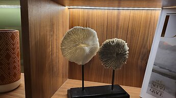 Star Champs Elysées