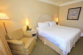 Holiday Inn Convention Center by IHG