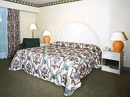 Holiday Inn Convention Center by IHG