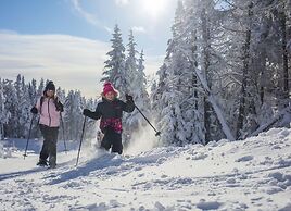 Holiday Inn Express and Suites Tremblant, an IHG Hotel