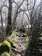 Best Western Le Relais de Laguiole Hotel & Spa