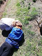 Best Western Le Relais de Laguiole Hotel & Spa