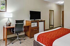 Comfort Inn Henderson
