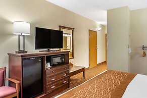 Comfort Inn & Suites Branson Meadows