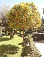Hotel Ad Hoc Parque Golf