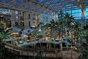 Gaylord Palms Resort & Convention Center