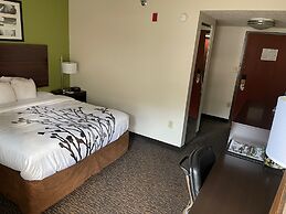 Sleep Inn & Suites near Sports World Blvd