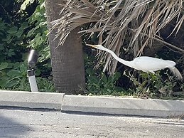 Ocean Sands Beach Boutique Inn - 1 Acre Private Beach