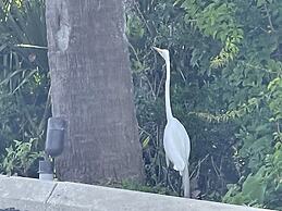 Ocean Sands Beach Boutique Inn - 1 Acre Private Beach