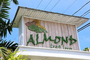 Almond Tree Inn Hotel - Adults Only