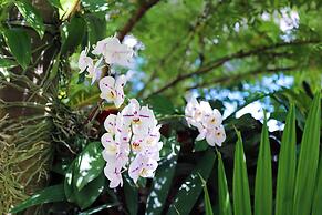 Almond Tree Inn Hotel - Adults Only