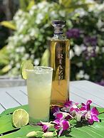 Orchid Key Inn - Adults Only