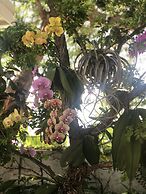 Orchid Key Inn - Adults Only