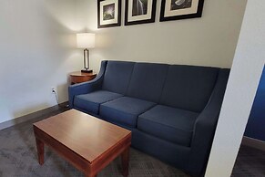 Comfort Inn Bessemer Birmingham South