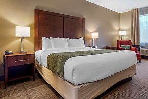 Comfort Inn Amite