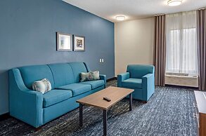 Comfort Inn & Suites Troutville - Roanoke North / Daleville