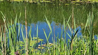 Hotel Podewils in Gdansk