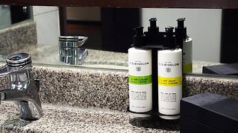 Pullman Bangkok Hotel G