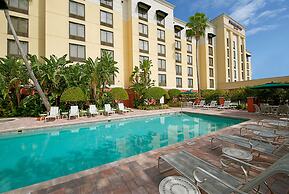 SpringHill Suites by Marriott Tampa Westshore Airport
