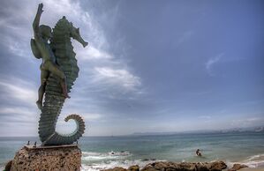 Vallarta Shores Beach Hotel