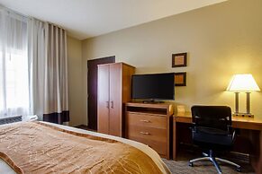 Comfort Inn & Suites Bellevue - Omaha Offutt AFB