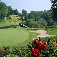 Druids Glen Hotel & Golf Resort