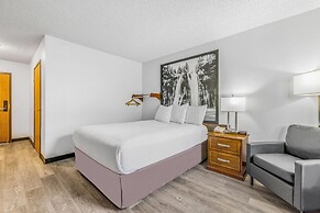 Super 8 by Wyndham Arcata