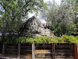 Super 8 by Wyndham Auburn