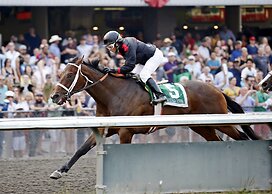 Rodeway Inn Farmington