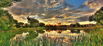 Rodeway Inn Farmington