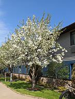 Super 8 by Wyndham Baxter/Brainerd Area