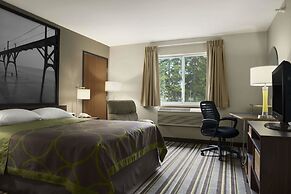 Super 8 by Wyndham Manistee