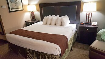 Quality Inn & Suites Charleston - Civic Center