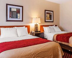 Comfort Inn Avon-Indianapolis West