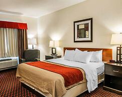 Comfort Inn Avon-Indianapolis West