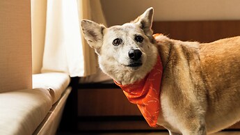 Trailborn Rocky Mountains Outpost