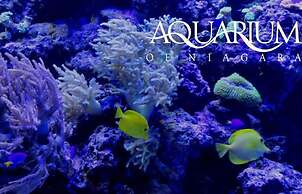 Super 8 by Wyndham Niagara Falls NY