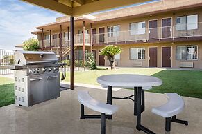 Super 8 by Wyndham Lindsay Olive Tree