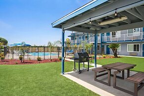 Super 8 by Wyndham Lindsay Olive Tree