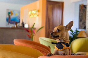 Best Western Posada Chahue